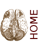 Home Tab
